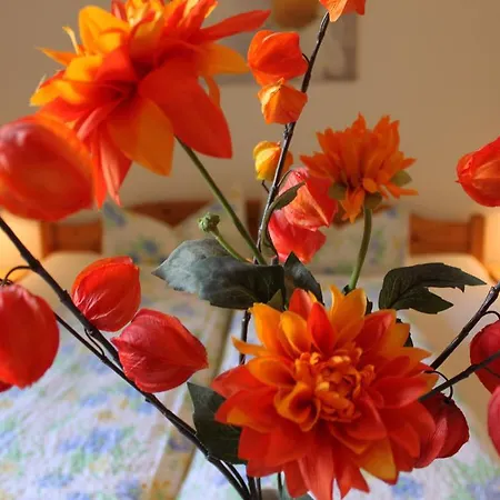 الضيافة بنسيون ستوي بدجيت