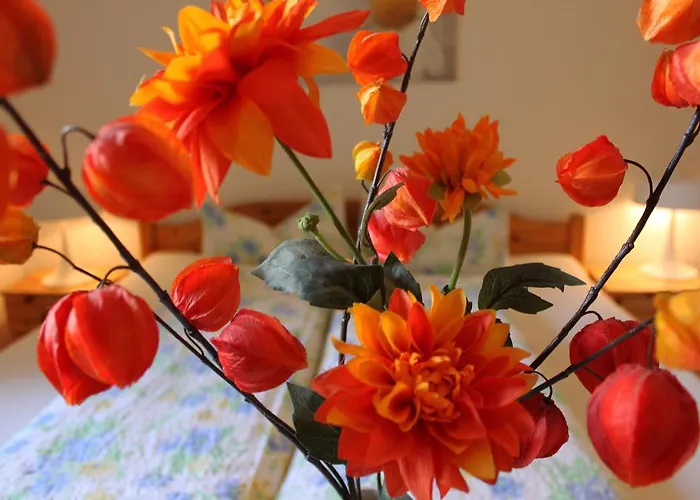 الضيافة بنسيون ستوي بدجيت